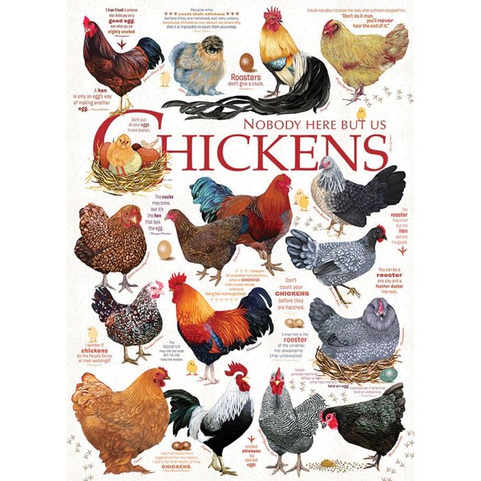 COBBLE HILL CHICKEN QUOTES PUZZLE