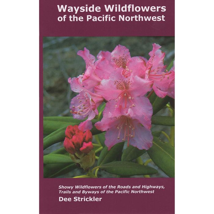 NATIONAL BOOK NETWRK WILDFLOWERS PACIFIC NORTHWEST