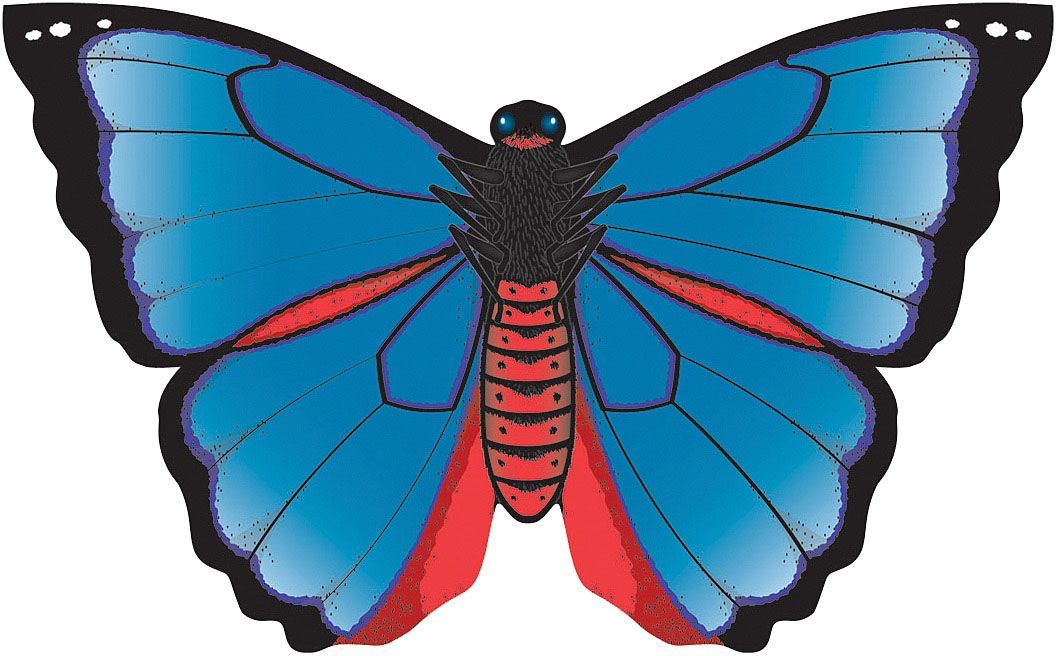 WINDNSUN BUTTERFLYS KITES