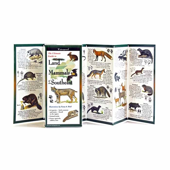 EARTH SKYWATER LAND MAMMALS OF THE SOUTHEAST