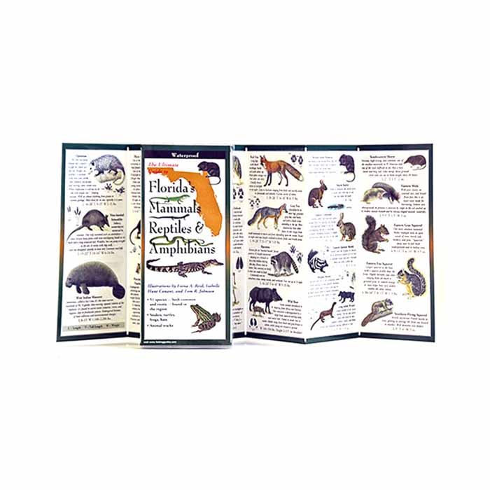EARTH SKYWATER FLORIDA'S MAMMALS. REPTILES, AND AMPHIBIANS