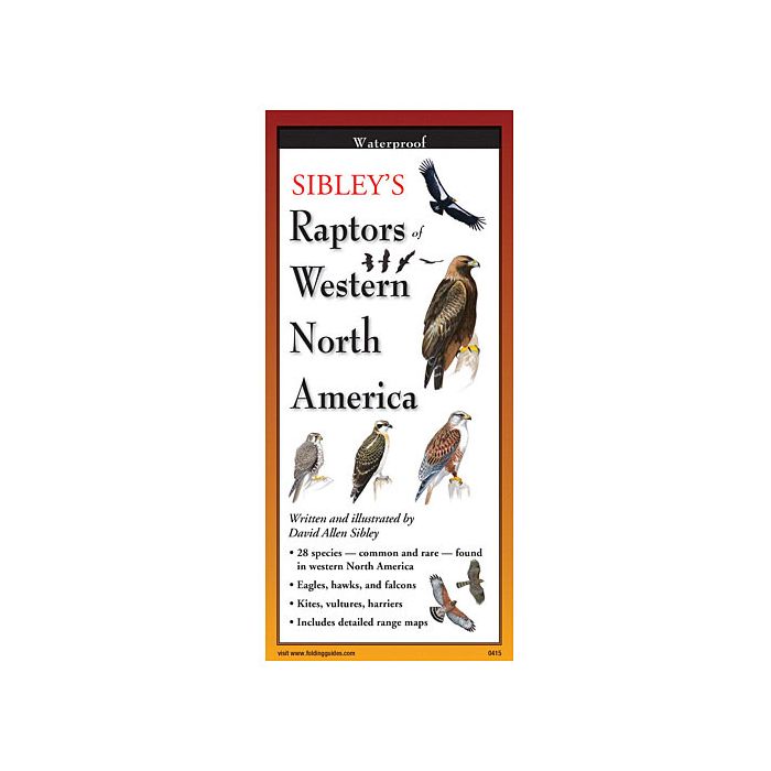 EARTH SKYWATER SIBLEY'S RAPTORS OF WESTERN NORTH AMERICA