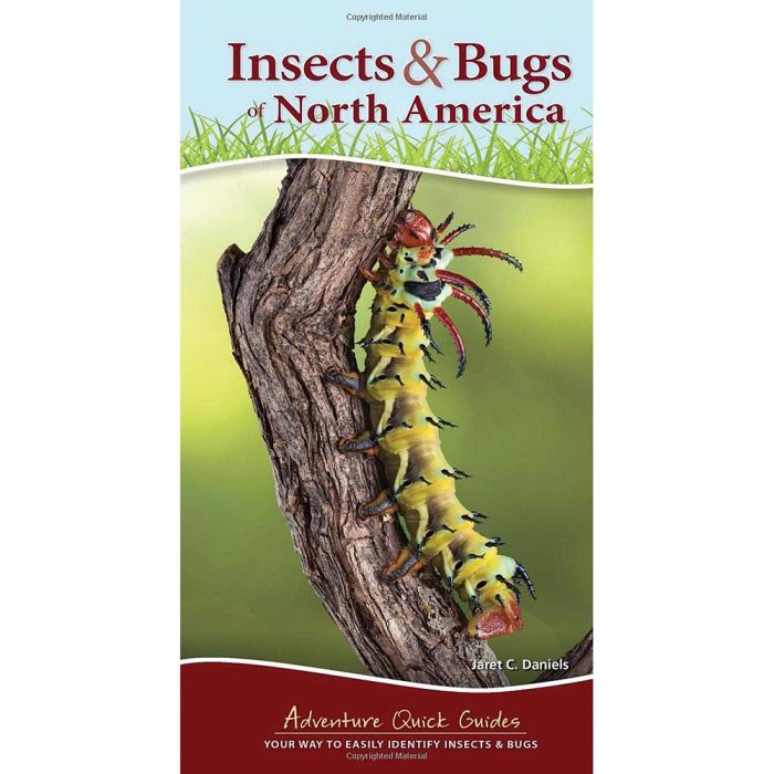 ADVENTURE PUBLICATIONS INSECTS & BUGS OF N. AMERICA