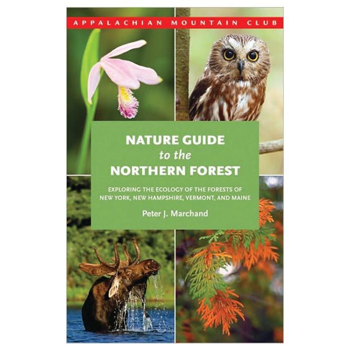 NATIONAL BOOK NETWRK NATURE GUIDE TO THE NORTHERN FOREST