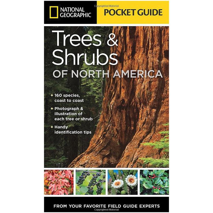 NATIONAL GEOGRAPHIC POCKET GUIDE TREES & SHRUBS