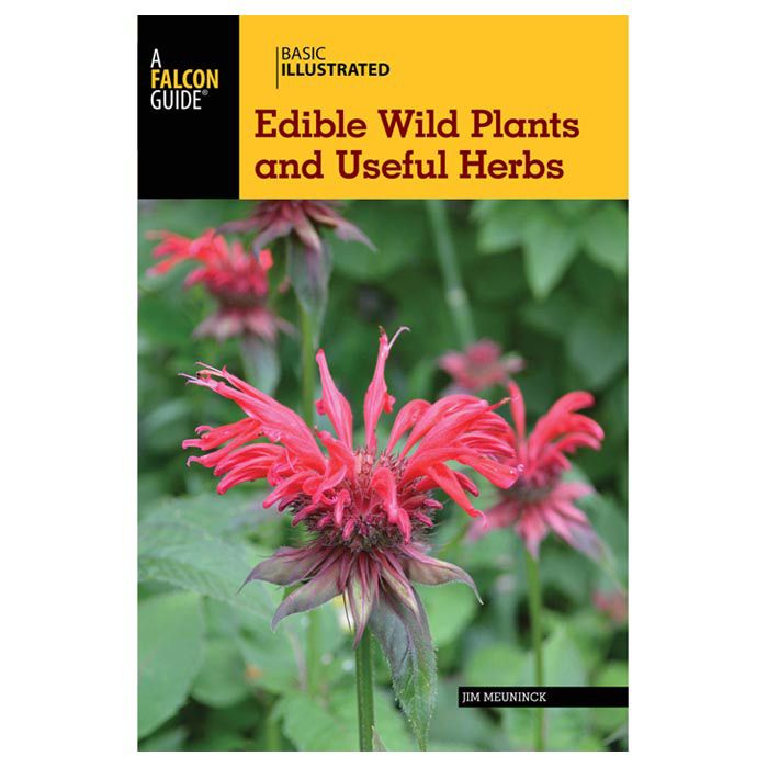 NATIONAL BOOK NETWRK BASIC ILLUSTRATED EDIBLE WILD PLANTS AND USEFUL HERBS