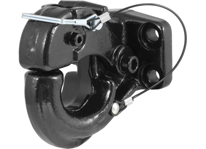 Curt Manufacturing Curt Pintle Hook