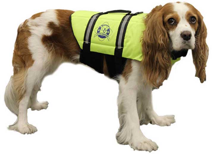 Fido Pet Products Paws Aboard Dog Life Jacket, Neon Yellow, Small
