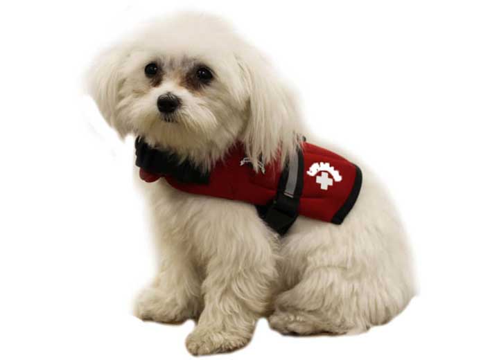 Fido Pet Products Paws Aboard Dog Life Jacket, Lifeguard Red, XXS