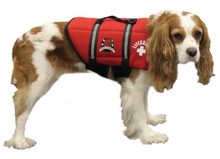 Fido Pet Products Paws Aboard Dog Life Jacket, Lifeguard Red, Small