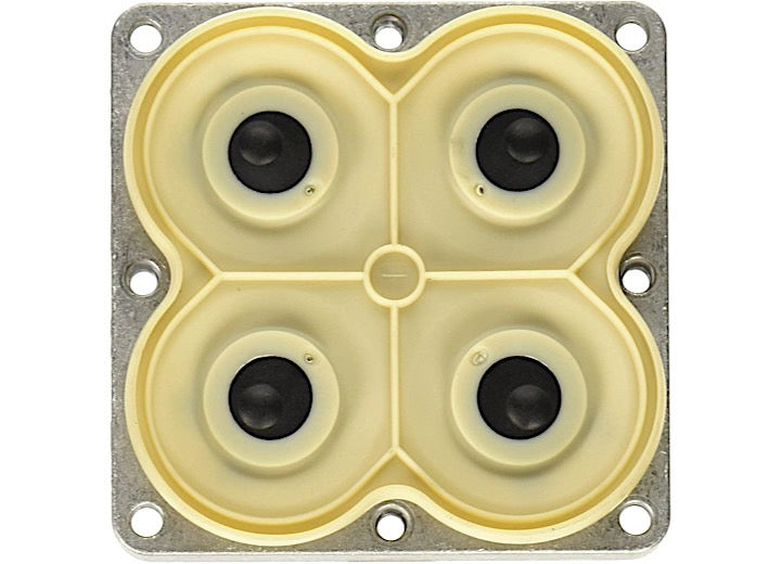 Pentair Shurflo DRIVE ASSEMBLY