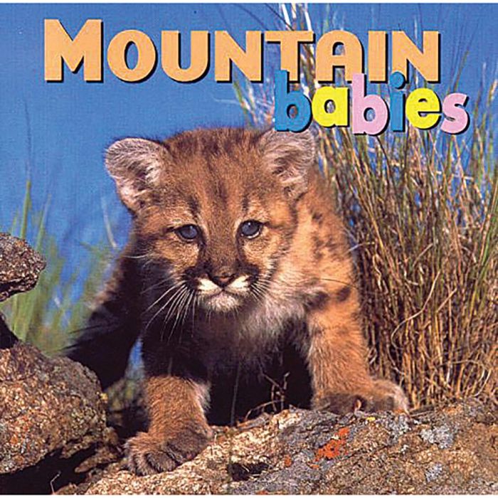 NATIONAL BOOK NETWRK MOUNTAIN BABIES