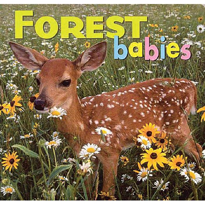 NATIONAL BOOK NETWRK FOREST BABIES
