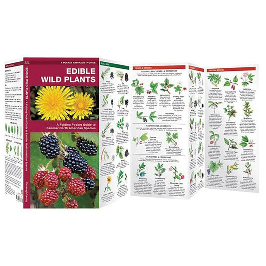 WATERFORD PRESS EDIBLE WILD PLANTS