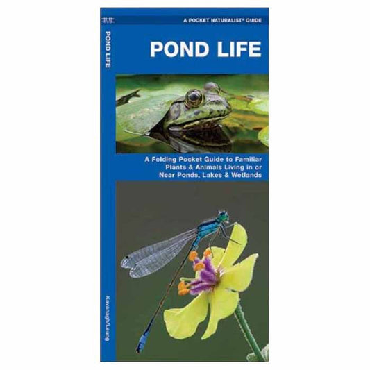 WATERFORD PRESS POND LIFE