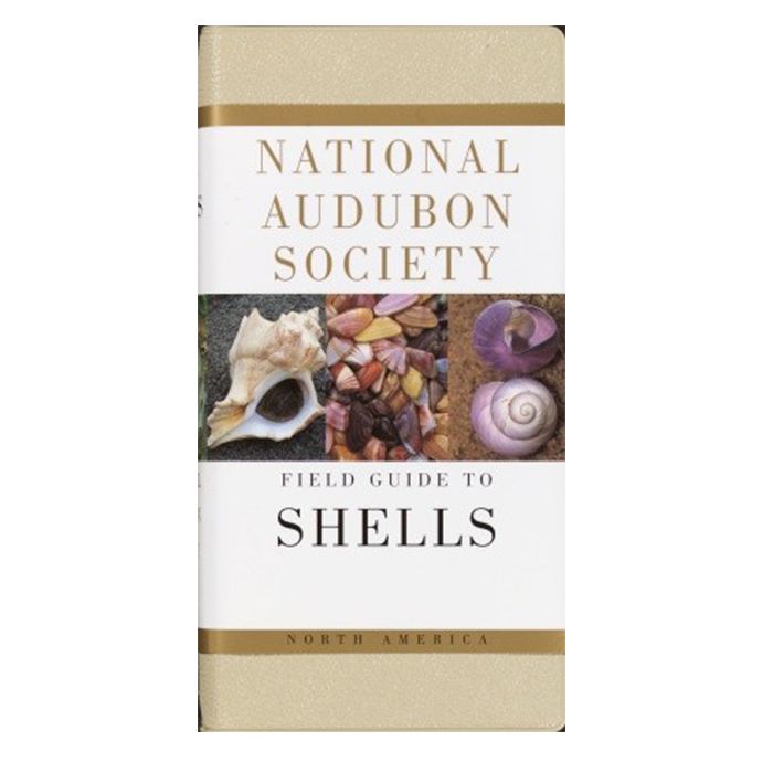 RANDOM HOUSE FIELD GUIDE TO SHELLS: National Audubon Society