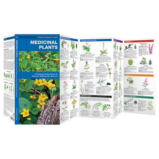 WATERFORD PRESS MEDICINAL PLANTS