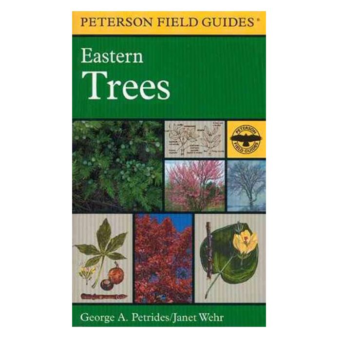 HOUGHTON MIFFLIN FIELD GUIDE TO EASTERN TREES
