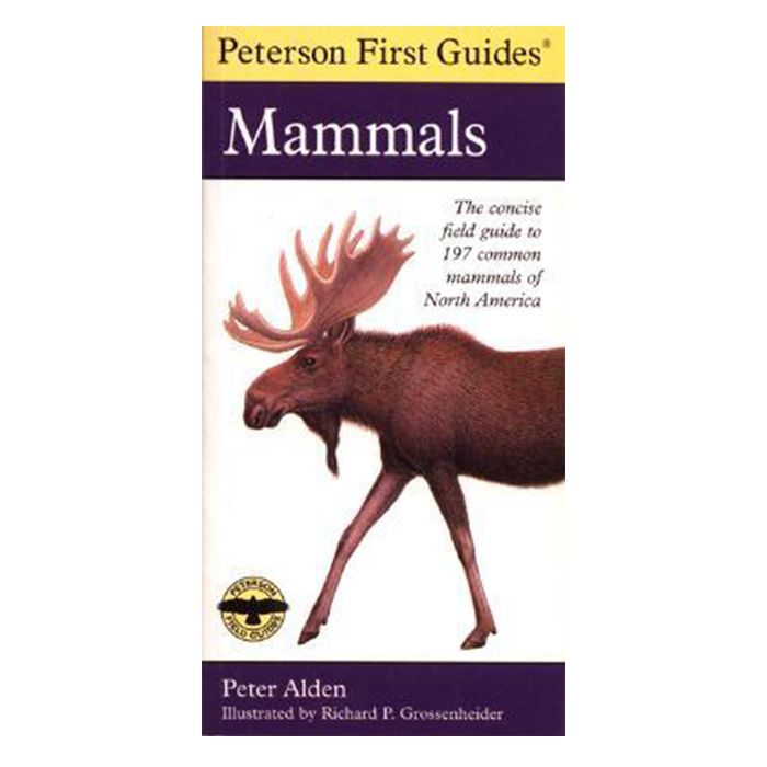 HOUGHTON MIFFLIN PETERSON FIRST GUIDE TO MAMMALS OF NORTH AMERICA