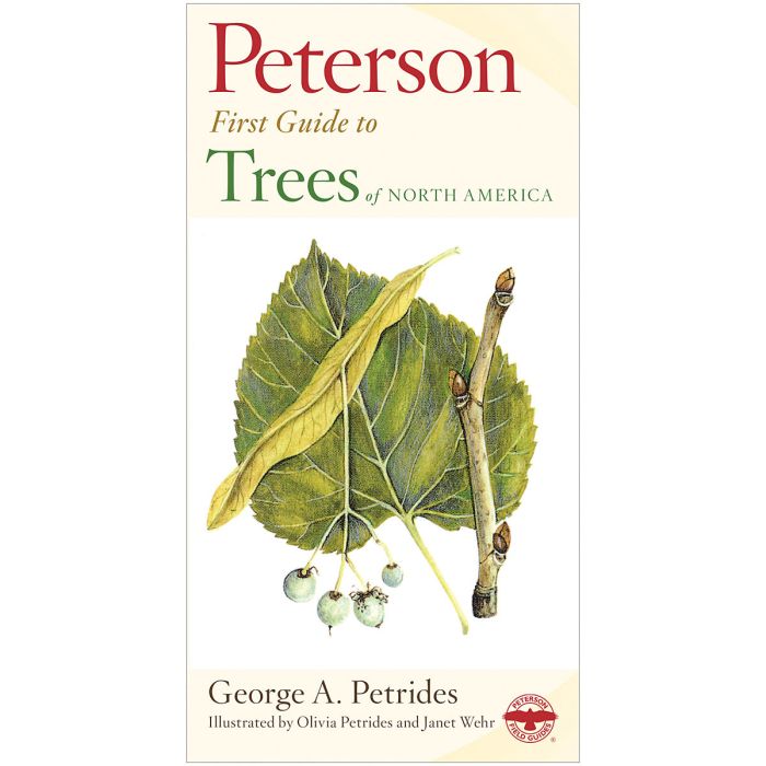 HOUGHTON MIFFLIN PETERSON FIRST GUIDE TO TREES
