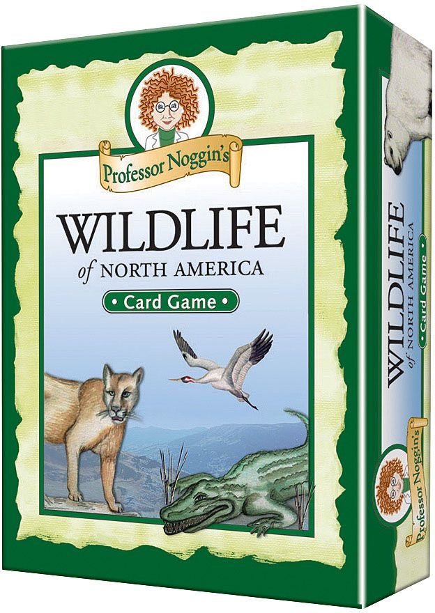 OUTSET MEDIA PROFESSOR NOGGIN'S CARD GAMES