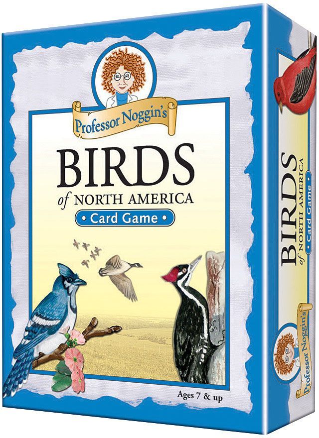OUTSET MEDIA PROFESSOR NOGGIN'S CARD GAMES