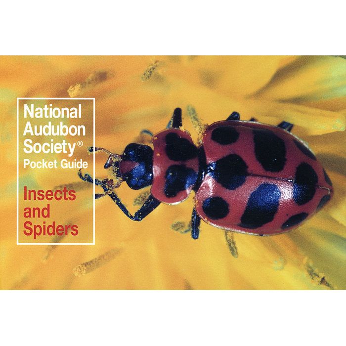 RANDOM HOUSE NATIONAL AUDUBON SOCIETY POCKET GUIDE TO FAMILIAR INSECTS AND SPIDERS