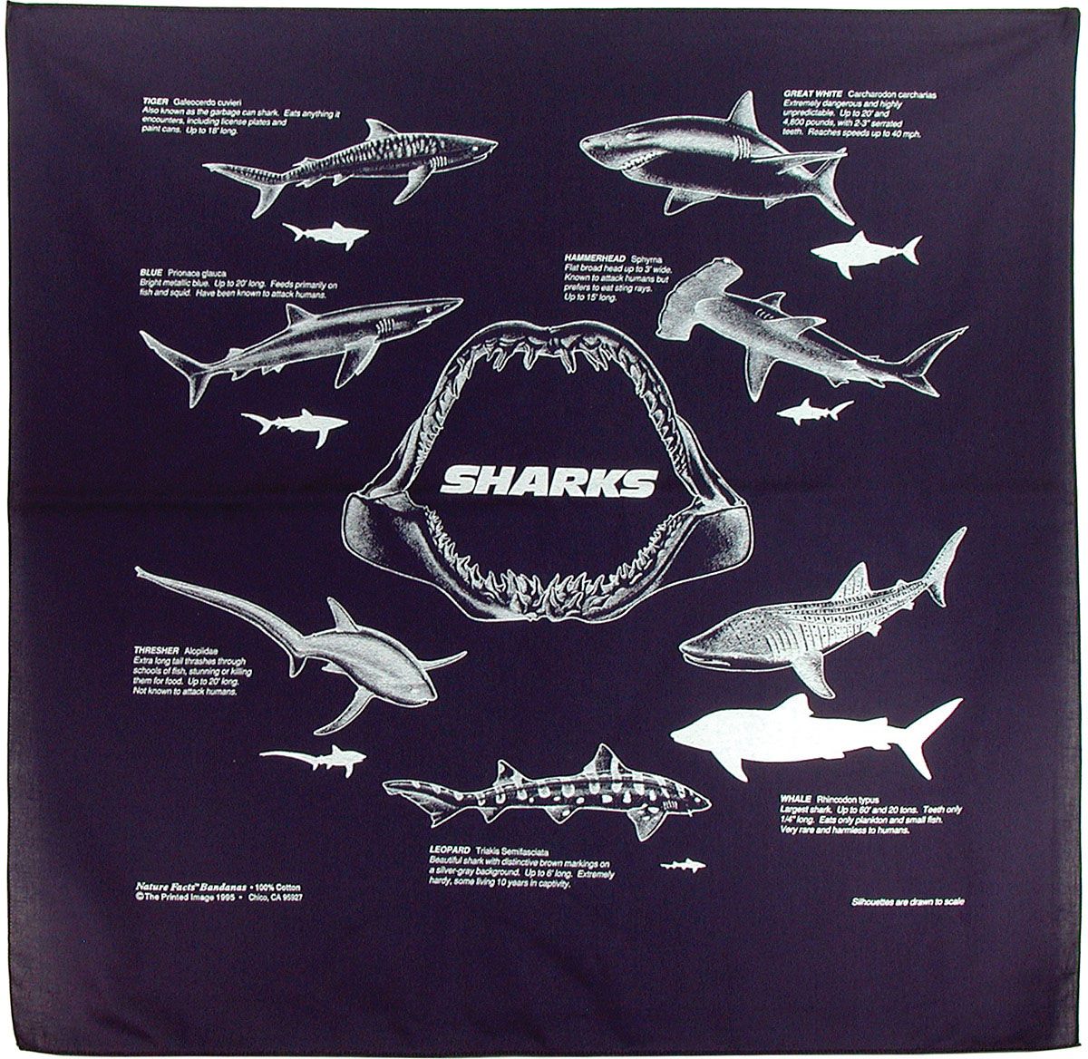 THE PRINTED IMAGE NATURE FACTS BANDANAS