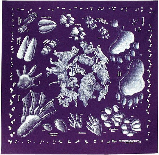 THE PRINTED IMAGE NATURE FACTS BANDANAS