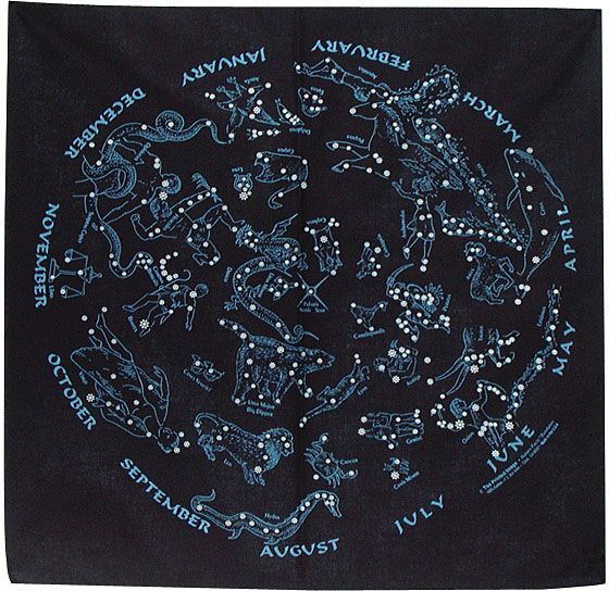 THE PRINTED IMAGE NATURE FACTS BANDANAS