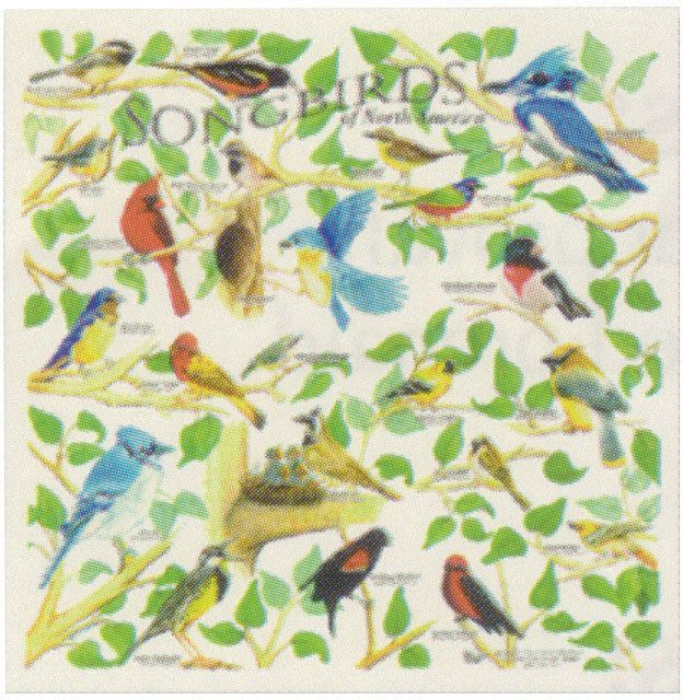 THE PRINTED IMAGE NATURE FACTS BANDANAS