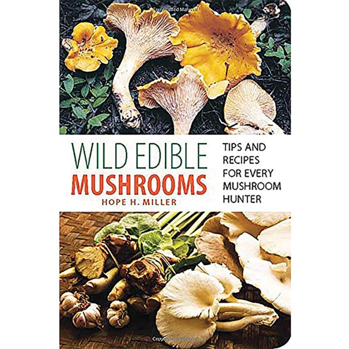 NATIONAL BOOK NETWRK WILD EDIBLE MUSHROOMS
