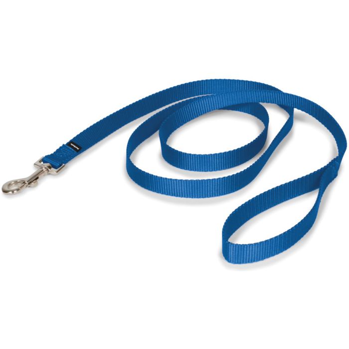 ASPEN PET NYLON DOG LEAD 3/8" X 5' BLUE