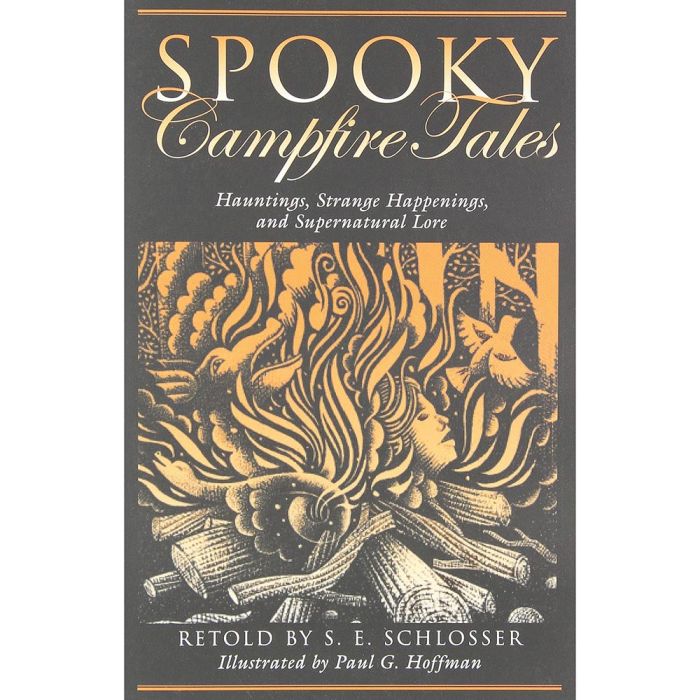 NATIONAL BOOK NETWRK SPOOKY CAMPFIRE TALES