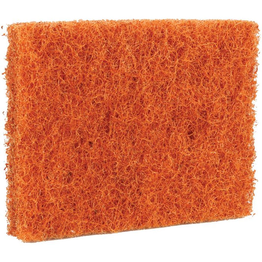 ADVENTURE READY COCONUT SCRUBBER REFILL - 4 PK
