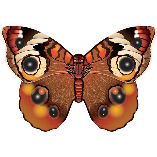 WINDNSUN MICROBUTTERFLY