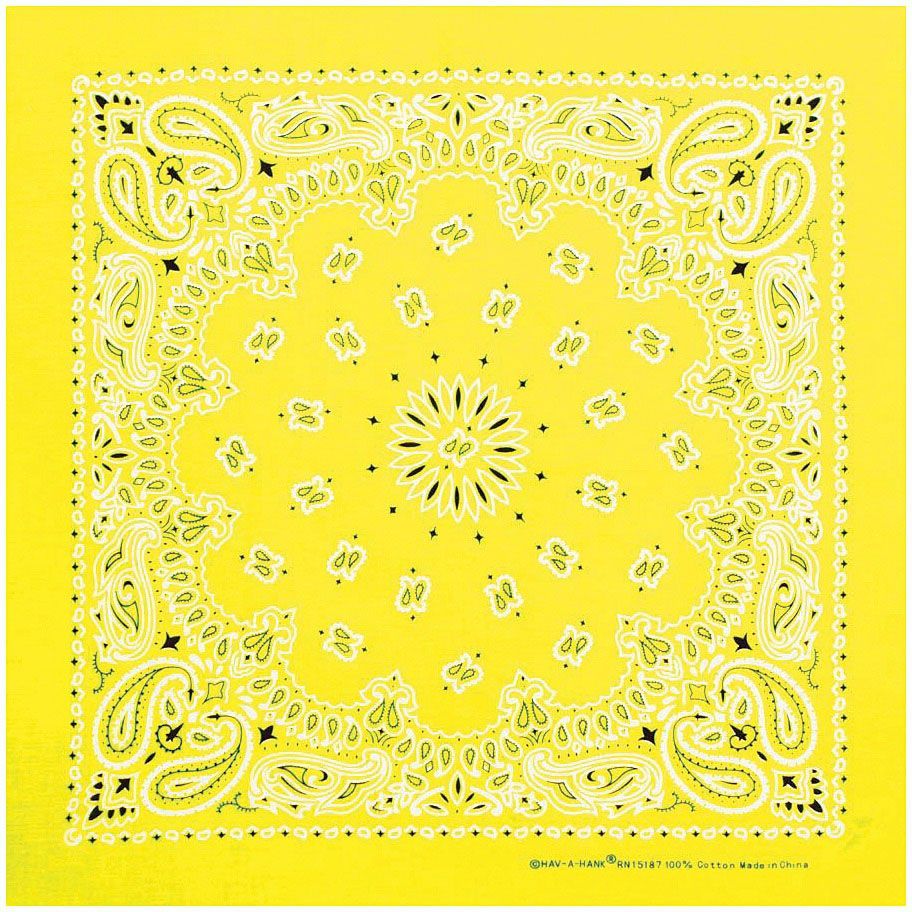 CAROLINA MANUF NEON PAISLEY BANDANA