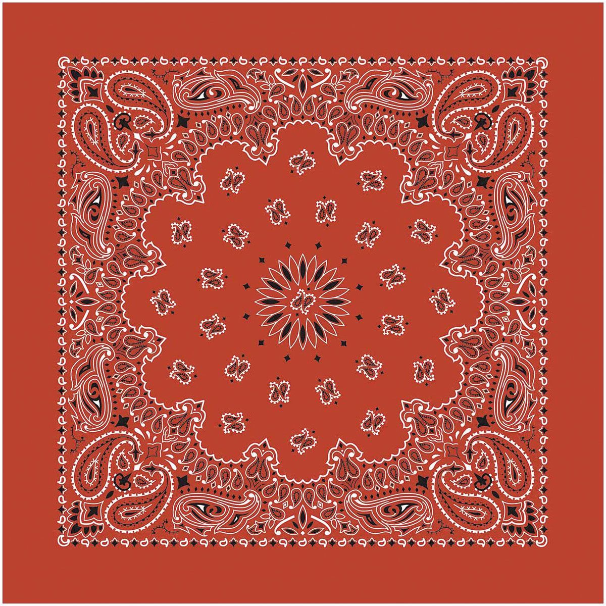 CAROLINA MANUF USA PAISLEY BANDANAS