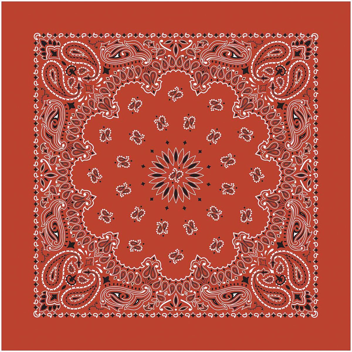 CAROLINA MANUF USA PAISLEY BANDANAS