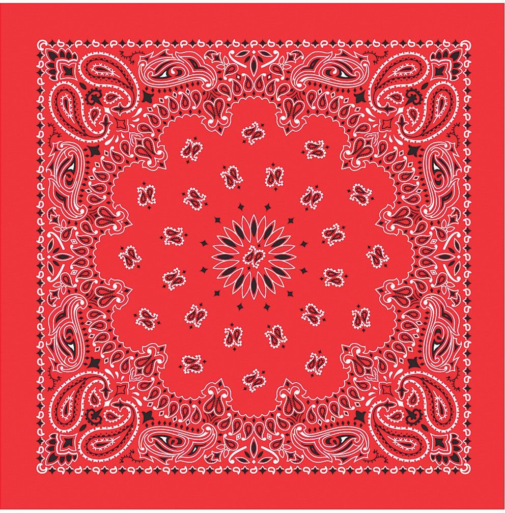 CAROLINA MANUF USA PAISLEY BANDANAS