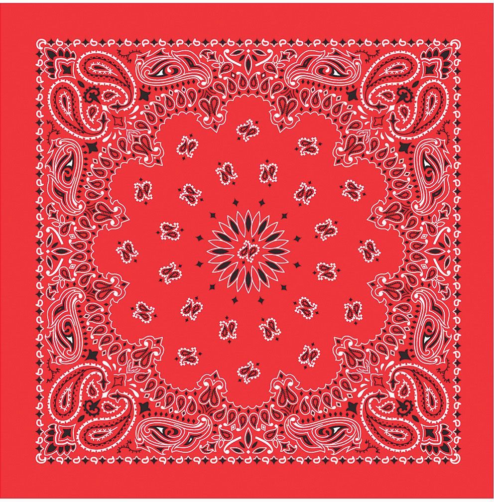 CAROLINA MANUF USA PAISLEY BANDANAS