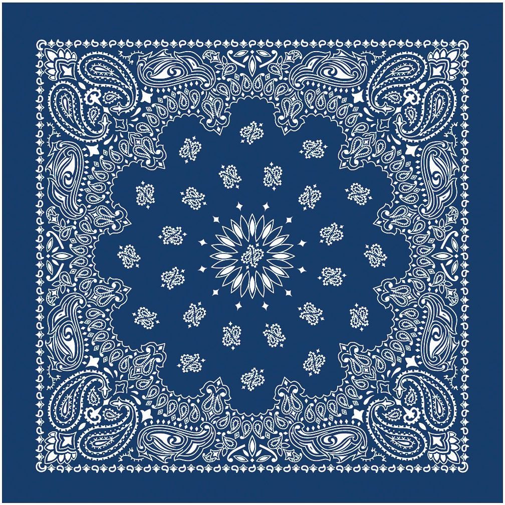 CAROLINA MANUF USA PAISLEY BANDANAS