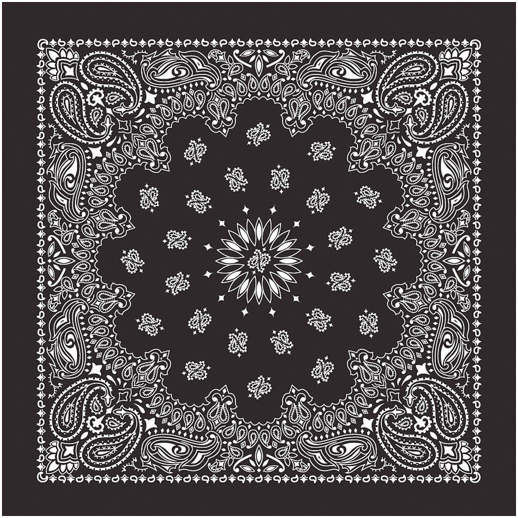 CAROLINA MANUF USA PAISLEY BANDANAS