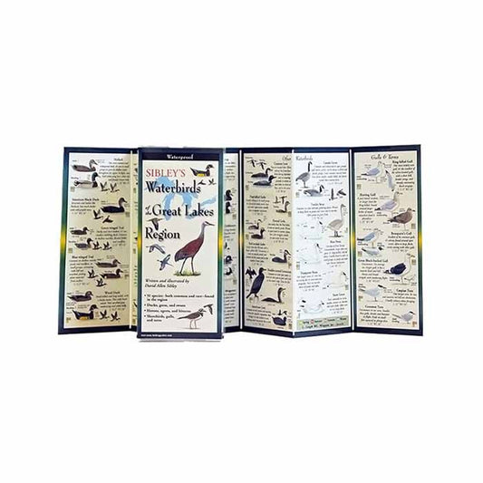 EARTH SKYWATER SIBLEY'S WATERBIRDS OF THE GREAT LAKES REGION