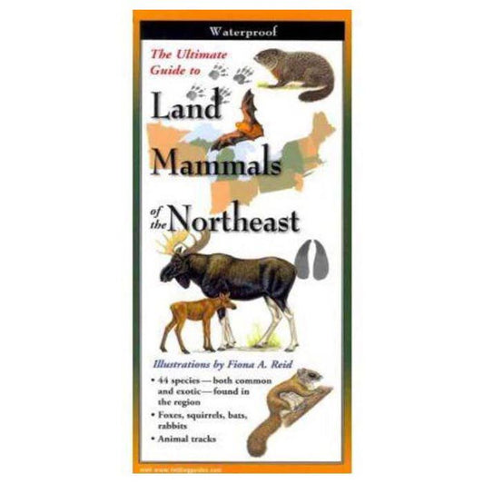 EARTH SKYWATER LAND MAMMALS OF THE NORTHEAST