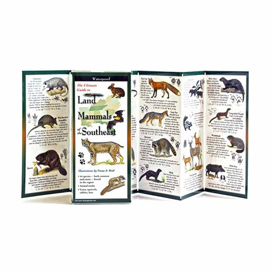 EARTH SKYWATER LAND MAMMALS OF THE SOUTHEAST
