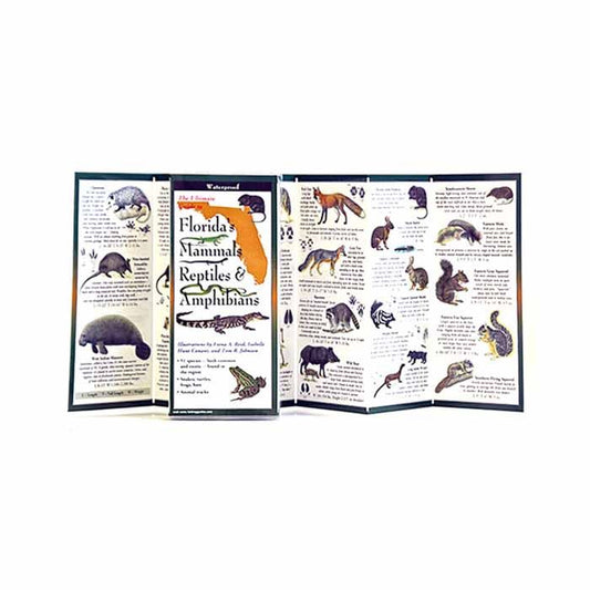 EARTH SKYWATER FLORIDA'S MAMMALS. REPTILES, AND AMPHIBIANS