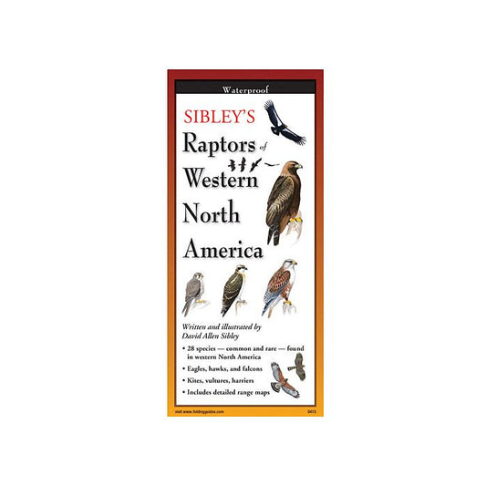 EARTH SKYWATER SIBLEY'S RAPTORS OF WESTERN NORTH AMERICA