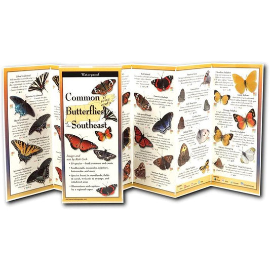 EARTH SKYWATER BUTTERFLIES OF THE SOUTHEAST