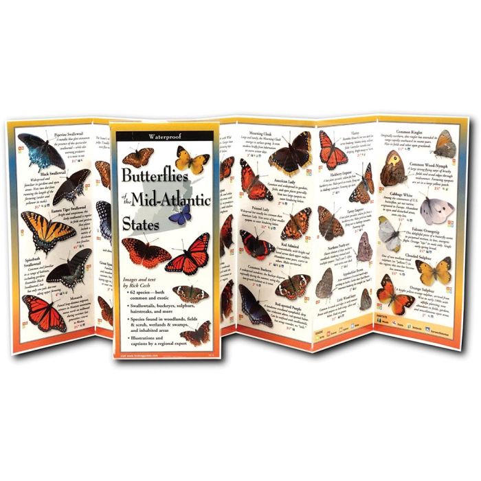 EARTH SKYWATER BUTTERFLIES OF THE MID-ATLANTIC STATES